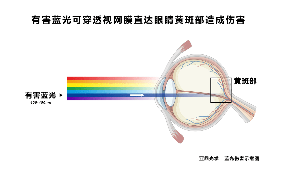 蓝光伤害-阻隔蓝光-保护眼睛